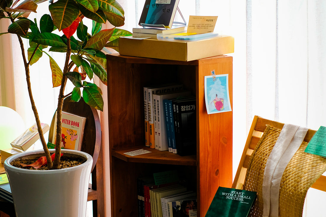 観葉植物と相性の良いカラーコーディネート:グリーンを活かすインテリアデザイン
