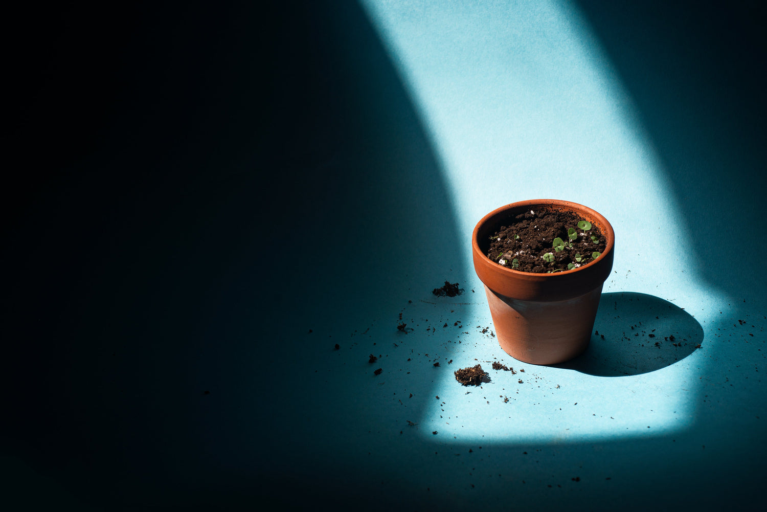 Pots