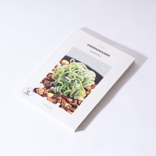 UNDERGROUNDS -CAPE BULB BOOK- / FUMIO FUJIKAWA