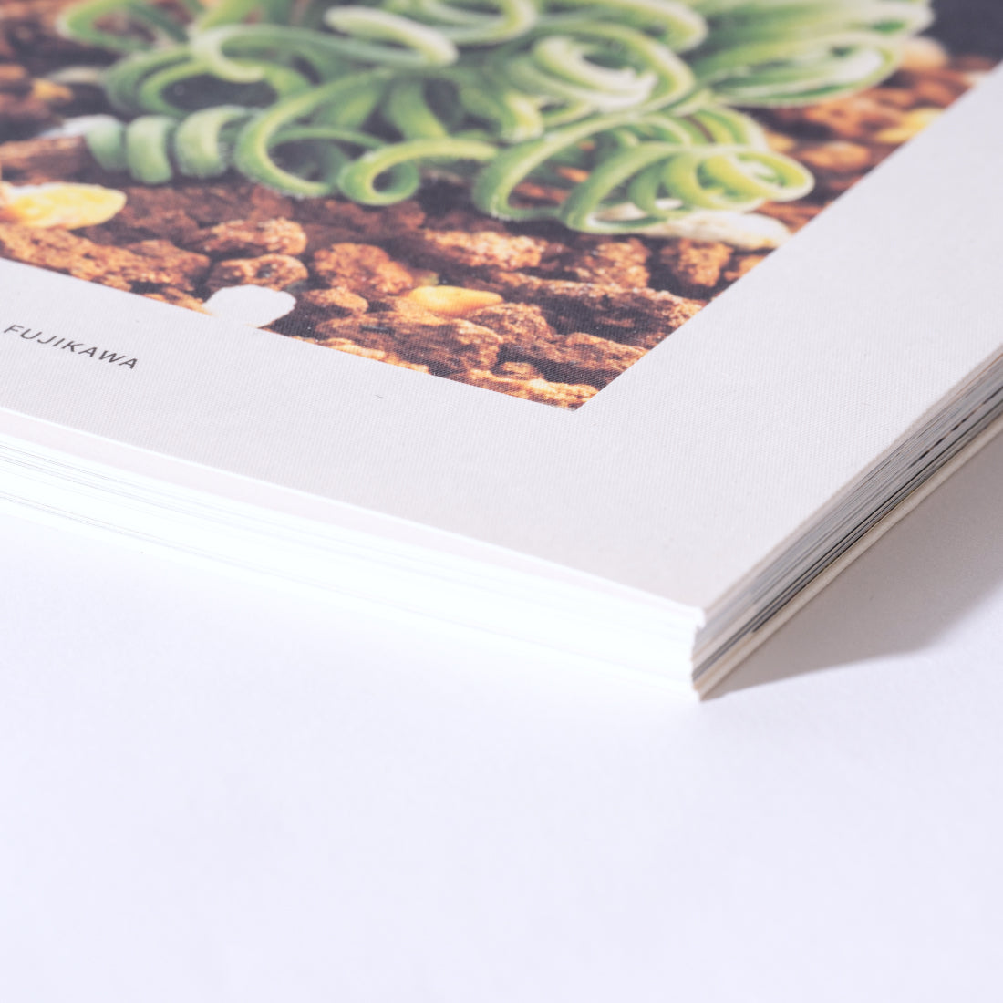 UNDERGROUNDS -CAPE BULB BOOK- / FUMIO FUJIKAWA